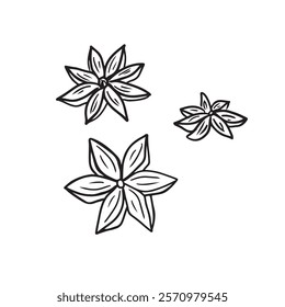 Anise stars in black isolated on white background. Hand drawn vector sketch illustration in doodle engraved line art vintage style. Sweet spices for bakery, mulled wine, design