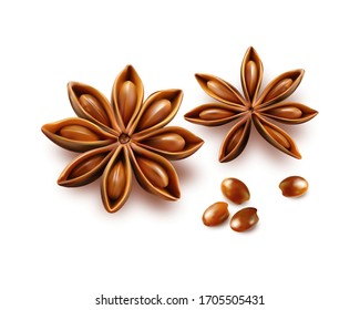 Anise stars isolated on white background. Quality realistic vector, 3d illustration