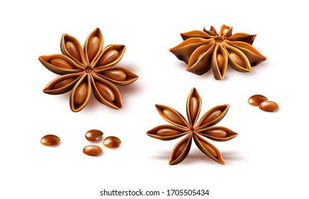 Anise stars isolated on white background. Quality realistic vector, 3d illustration