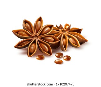 Anise stars isolated on white background. Quality realistic vector, 3d illustration