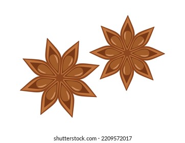 Anise stars isolated on a white background. Flat vector illustration