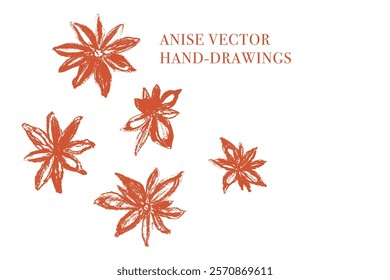 Anise symbols hand drawn. Vector spices illustration isolated. Culinary herbs, kitchen icons, cooking signs. Anise star with seeds engraved doodles for Herbal tea label. Flower drawings.