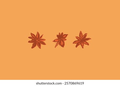 Símbolos de anís dibujados a mano. Ilustración de especias de Vector aisladas. Hierbas culinarias, iconos de cocina, signos de cocina. Estrella de anís con semillas de garabatos grabados para la etiqueta de té de hierbas. Dibujos de flores.