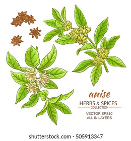 anise vector set