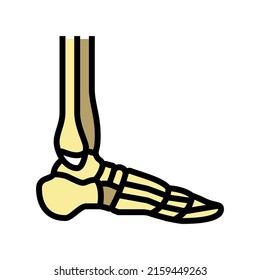 ankle bone color icon vector. ankle bone sign. isolated symbol illustration