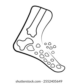 
Ankle bone and joint anatomy diagram.