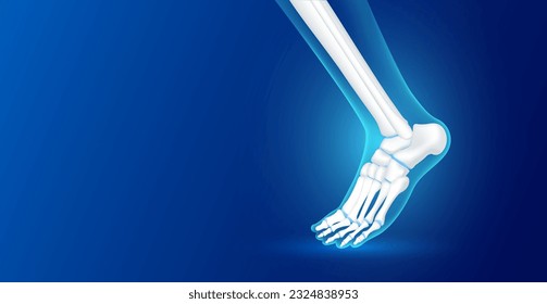 Hueso de aguja y cartílago de articulación sobre fondo azul con espacio de copia para texto. Anatomía de esqueletos humanos saludable. Concepto científico de la atención médica. Vector 3D realista.