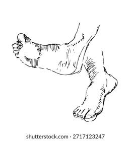 Ankle Extension and Foot Flexing Mobility Exercise
