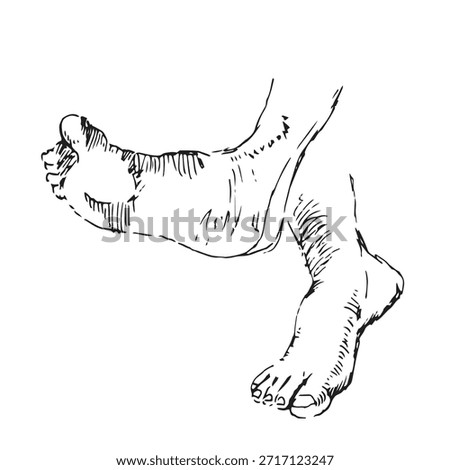 Ankle Extension and Foot Flexing Mobility Exercise