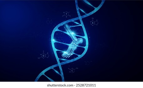 Ankle joint bone in DNA gene cell double helix blue. Genetic synthetic biology combined. Anatomy organ glowing polygonal. Code analysis thymine, adenine, guanine, cytosine. Medical science vector.