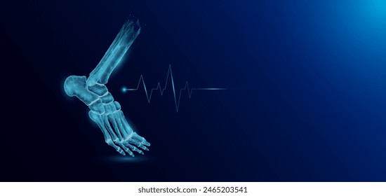 Ankle joint bone human organ skeleton anatomy in form style polygon low poly futuristic and pulse wave glowing. Medical science template banner with empty space for text. Vector EPS10 illustration.