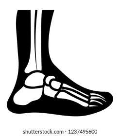 Ankle joint solid icon design