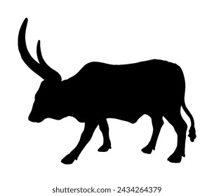 Ankole Watusi cow vector silhouette illustration isolated on white background. Bos Taurus. Long horn cow. African bull.
