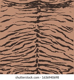 anmal print zebra tiger vector texture abstract