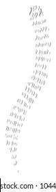 Annelid Worm pattern combined in the group of annelid worm pictograms. Vector iconized composition constructed with simple icons.