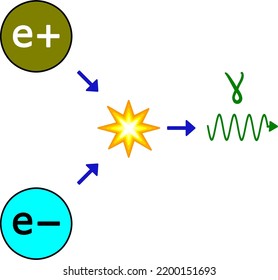 Annihilation of a positron and an electron with the release of energy and gamma quanta