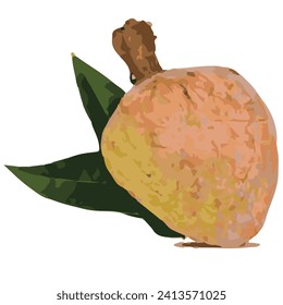 Annona reticulata Ramfal Vector file ready to use  print