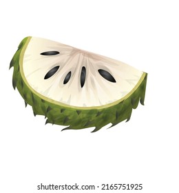Anona soursop icono vector de caricatura. Fruta de la Graviola. Sop durian