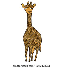 an annoyed giraffe hand drawn vector