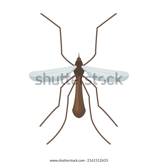 Annoying mosquito. Pest control workers and\
insects flat vector illustration. Poison and equipment for pest\
infestation\
prevention