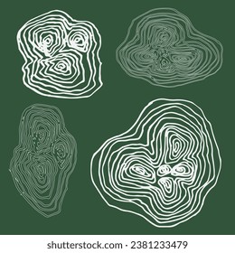 annual ring set vector on green background