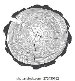 Annual tree growth rings with grayscale drawing of the cross-section of a tree trunk isolated on white. Vector illustration 