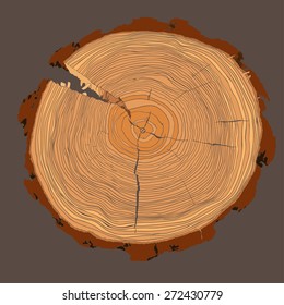 Annual tree growth rings with greyscale drawing of the cross-section of a tree trunk isolated on white. Vector illustration 