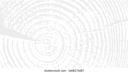 Annual tree growth rings logo, cross-section of a tree trunk background.