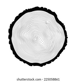 Annual Tree Rings Background Stock Vector (Royalty Free) 225058861 ...