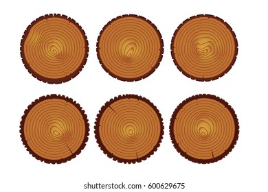  Annual tree rings. Saw cut trunk.