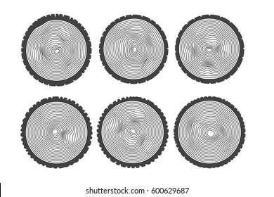  Annual tree rings. Saw cut trunk.