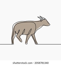 Anoa animal oneline continuous line art