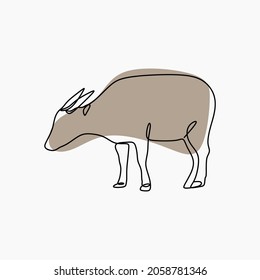 Anoa animal oneline continuous line art