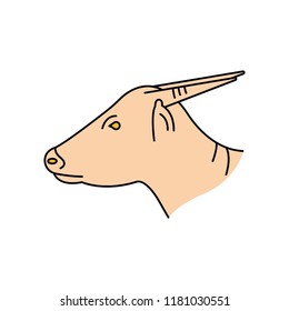 Anoa icon. Cartoon anoa vector icon for web design isolated on white background