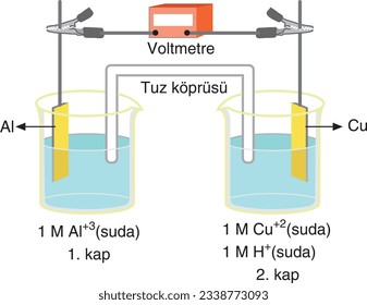 Anode, Cathode, Experiment, Beaker, Rod, Chemistry, Chemistry Lesson, Solution, Salt, Bridge, Water, Container, Voltmeter, Electricity, Volt, Tuz Köprüsü, Kimya, Deney, Anot, Katot, Elektrik,