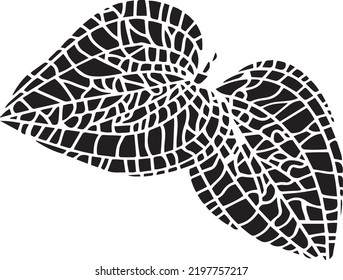 Anoectochilus Vector Stencil, black and white