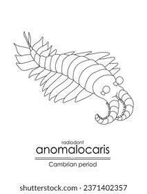 Anomalocaris, a Cambrian period creature, black and white line art illustration. Ideal for both coloring and educational purposes