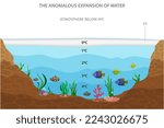 The anomalous expansion of water vector illustration. It is an abnormal property of water whereby it expands instead of contracting when the temperature goes from 4°C to 0°C. 