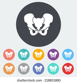 Anotomy Pelvis. Single Flat Icon On The Circle. Vector Illustration.