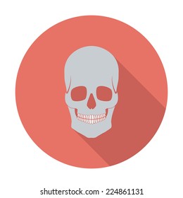 Anotomy skull. Single flat color icon. Vector illustration.