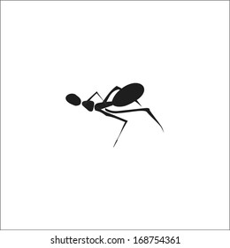 Ant