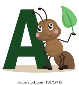  A for Ant