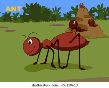 A for ant alphabet 