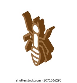 ant animal isometric icon vector. ant animal sign. isolated symbol illustration