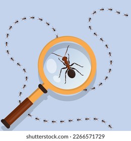 Ant animal. Magnifier zoom lens eyes. Macro computer look. Marching termites. Magnifying glass for entomology research. Business solution search. Vector current illustration concept