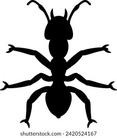 ant beetle bug pest insect 22280
