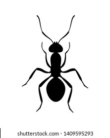 Ant black silhouette top view. Icon or insect symbol. vector