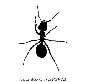 Ant Black Silhouette Vector Desain