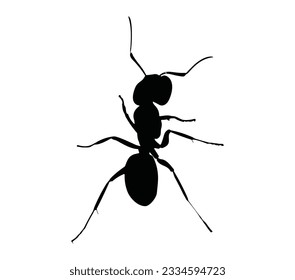 Ant Black Silhouette Vector Desain