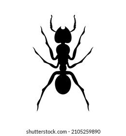 Ant black silhouette. Vector element for design